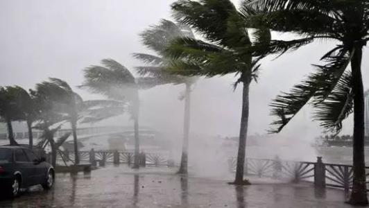 8月臺(tái)風(fēng)雨即將來(lái)，除濕機(jī)還得用起來(lái)