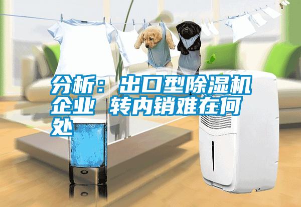 分析：出口型除濕機企業(yè) 轉內銷難在何處