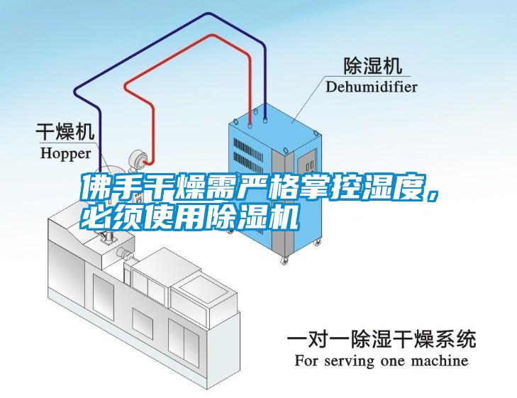 佛手干燥需嚴(yán)格掌控濕度，必須使用除濕機(jī)