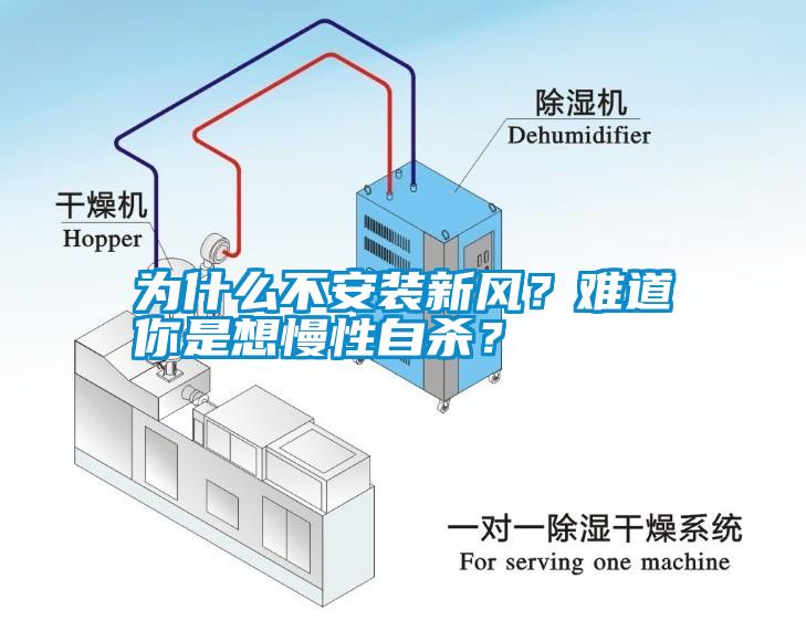 為什么不安裝新風(fēng)？難道你是想慢性自殺？