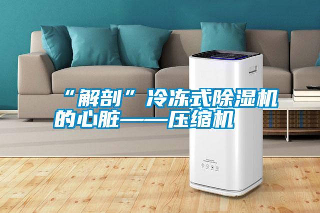 “解剖”冷凍式除濕機的心臟——壓縮機