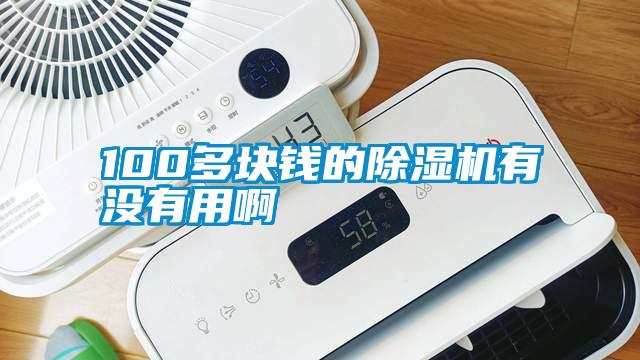 100多塊錢的除濕機(jī)有沒(méi)有用啊