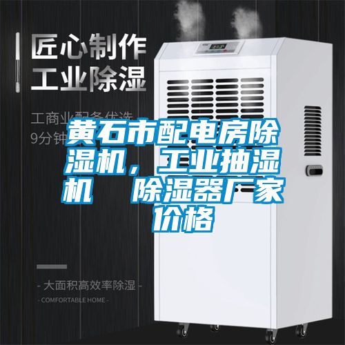 黃石市配電房除濕機(jī)，工業(yè)抽濕機(jī)  除濕器廠家 價格