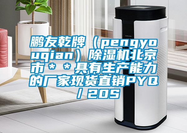 鵬友乾牌（pengyouqian）除濕機北京市＊＊具有生產(chǎn)能力的廠家現(xiàn)貨直銷PYQ／20S